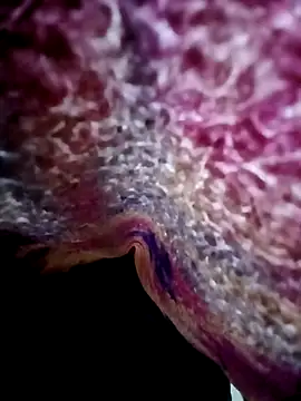 Snapshot of morenogts69 chatting on October 24, 2025, 1:32 pm morenogts69 online show from October 24, 2025, 1:32 pm