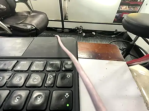 Snapshot of RawRyder8 chatting on December 13, 2025, 10:16 pm RawRyder8 online show from December 13, 2025, 10:16 pm