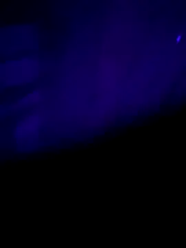 nehacplsex online show from January 25, 2025, 6:57 pm