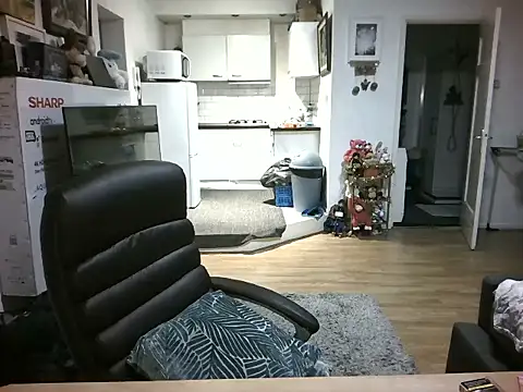 mihaimichael online show from November 13, 2025, 8:13 pm