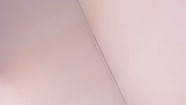 Snapshot of Black_Rose2 chatting on March 1, 2026, 11:43 am Black Rose2 online show from March 1, 2026, 11:43 am