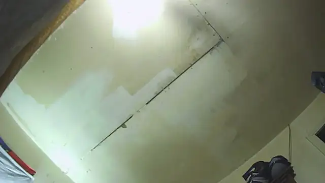 pipeload1275 online show from December 18, 2025, 1:00 am