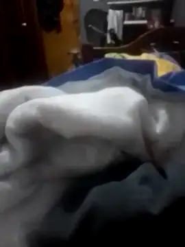 betinhodelas online show from February 3, 2026, 12:10 am