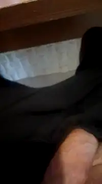 betinhodelas online show from February 11, 2025, 2:13 pm