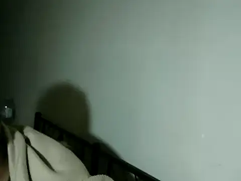 100Tauros online show from November 20, 2025, 10:42 pm