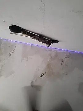 culitotragon24 online show from December 17, 2025, 6:46 pm