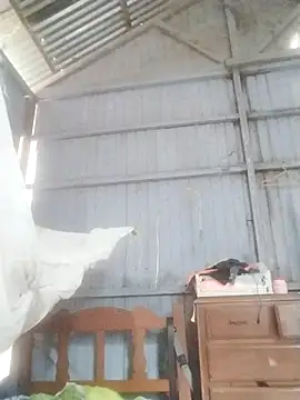 leyel00155 online show from November 6, 2025, 1:37 pm