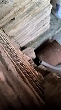 mendelicius online show from September 9, 2025, 11:52 am