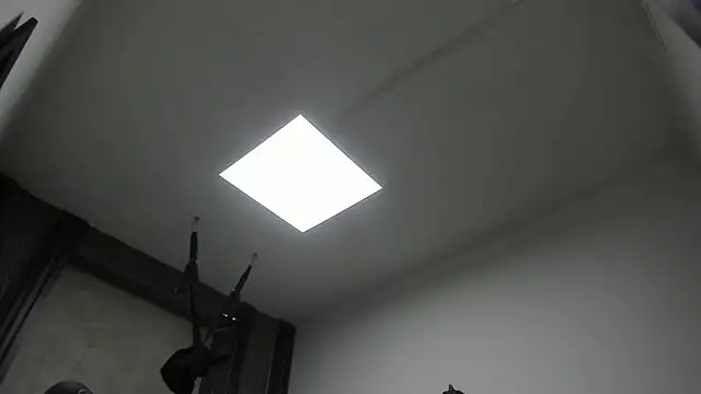 selene red  online show from February 3, 2026, 12:43 am