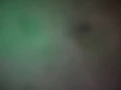 Snapshot of IncurvedHarbor chatting on March 21, 2026, 10:13 pm IncurvedHarbor online show from March 21, 2026, 10:13 pm