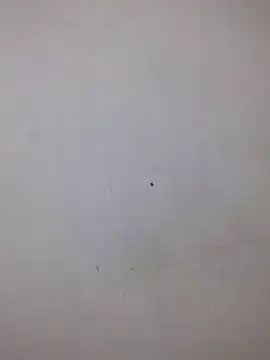 AmnionicDemeanor online show from October 5, 2025, 6:53 pm