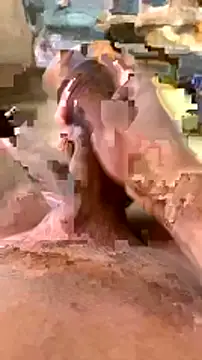 elber-gdo online show from February 5, 2025, 10:55 pm