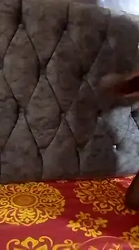 black queen6 online show from March 20, 2025, 4:09 pm