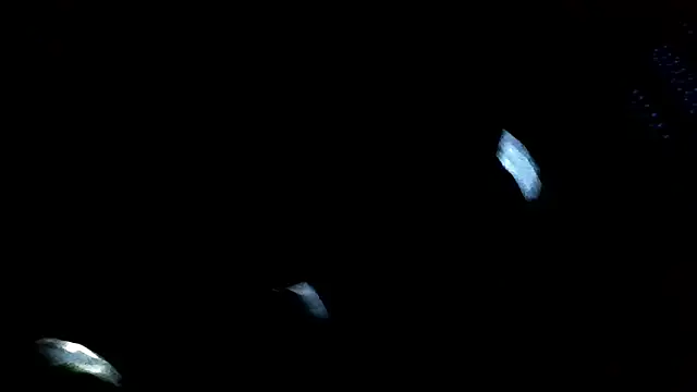 Antoniothedon online show from January 16, 2025, 3:02 pm