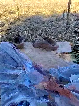 murokkk31 online show from November 2, 2025, 10:53 am