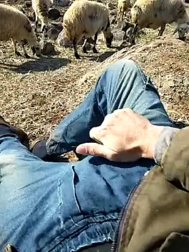 murokkk31 online show from February 18, 2025, 7:21 am