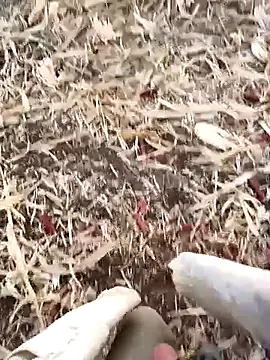 murokkk31 online show from September 15, 2025, 2:56 am