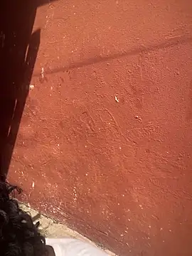 Moorella1 online show from February 10, 2026, 8:02 am