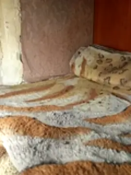 Holly Bette online show from March 13, 2026, 6:35 pm