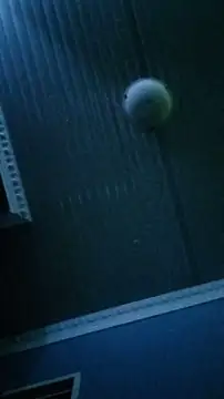 Snapshot of Dickey_sa chatting on February 13, 2026, 8:31 pm Dickey sa online show from February 13, 2026, 8:31 pm