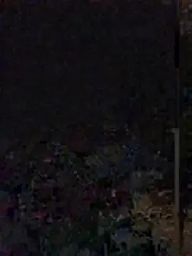 Snapshot of Yoko0381 chatting on June 12, 2026, 5:38 am Yoko0381 online show from June 12, 2026, 5:38 am