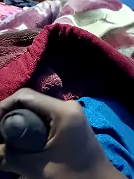 dombbcking online show from December 21, 2024, 11:44 am