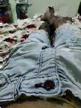 thegoodboy6060 online show from September 9, 2025, 9:19 am