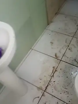 taradobbsafadok online show from December 5, 2024, 5:12 pm