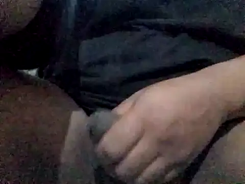 Snapshot of sebasj9812 chatting on February 9, 2025, 4:14 am sebasj9812 online show from February 9, 2025, 4:14 am