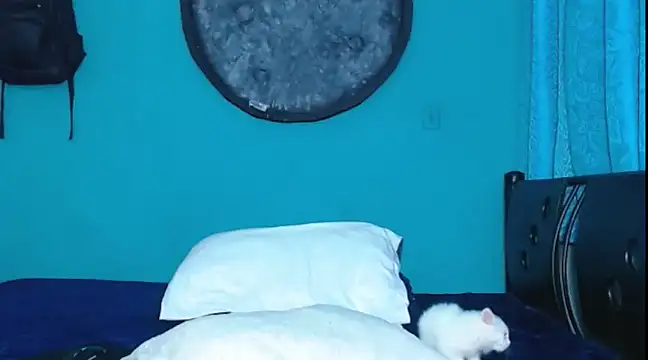 Dirtymatthew online show from February 10, 2025, 6:03 pm