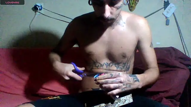 sellvageria online show from March 19, 2026, 3:17 am