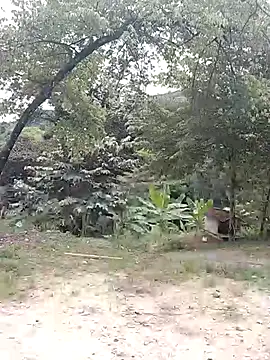 andreu mature online show from February 21, 2026, 4:20 pm