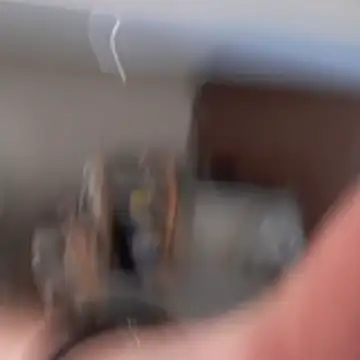 Luukas5239 online show from February 9, 2026, 12:03 pm