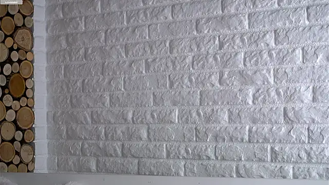 Snapshot of LowOncoming chatting on March 10, 2026, 1:09 am LowOncoming online show from March 10, 2026, 1:09 am