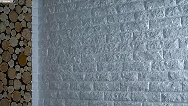 Snapshot of LowOncoming chatting on March 15, 2026, 2:07 am LowOncoming online show from March 15, 2026, 2:07 am