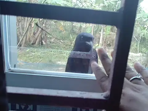 Snapshot of Unlucky-flowers chatting on March 15, 2026, 7:37 am Unlucky-flowers online show from March 15, 2026, 7:37 am