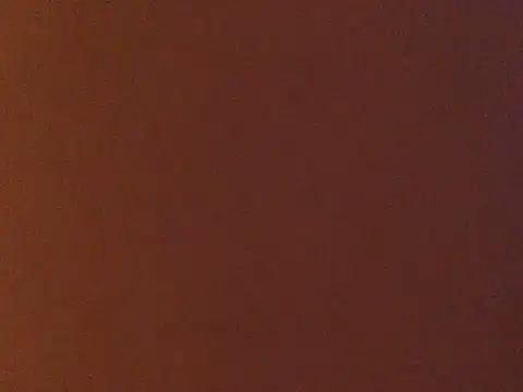 loveofbea online show from January 2, 2025, 12:34 am