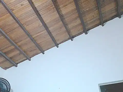 Snapshot of tifany19_ chatting on September 12, 2025, 4:01 am tifany19 online show from September 12, 2025, 4:01 am