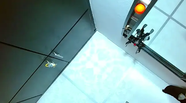 Michaell Myerss  online show from February 25, 2025, 9:48 pm