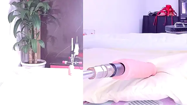 Sophia Lovers01 online show from March 2, 2026, 8:38 pm