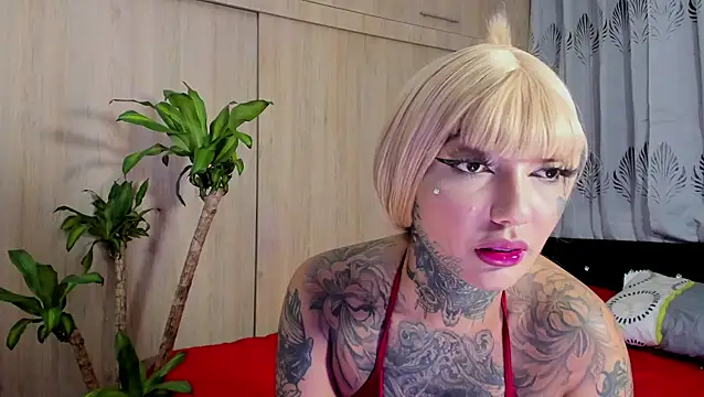 filletatouee online show from January 6, 2026, 5:11 am