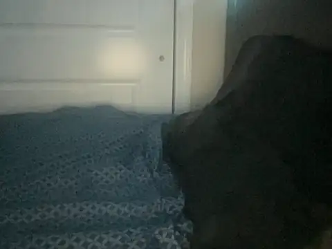 Snapshot of Bobbythehunk_ chatting on May 19, 2026, 6:31 am Bobbythehunk online show from May 19, 2026, 6:31 am