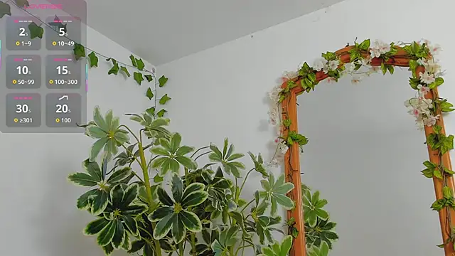 ShegoBlake online show from June 7, 2026, 12:05 am