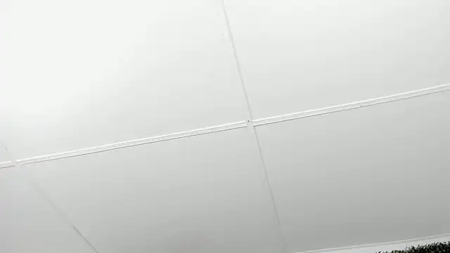 valentina 0  online show from December 4, 2025, 3:49 am