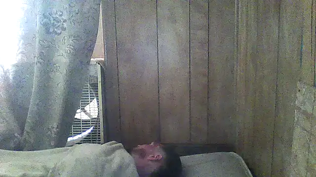 Snapshot of luke_thighwalker2469 chatting on March 5, 2026, 5:20 pm luke thighwalker2469 online show from March 5, 2026, 5:20 pm