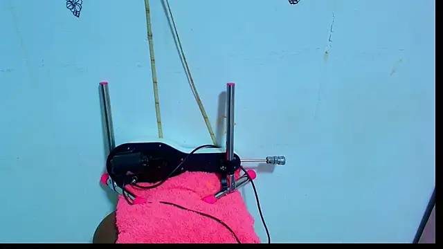 SolanyiVera online show from September 25, 2025, 11:55 pm