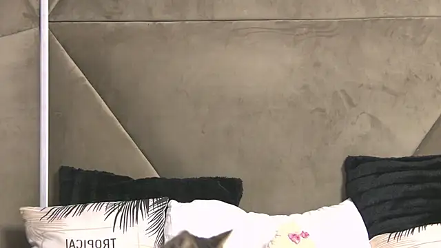 AishaHummer online show from September 30, 2025, 4:57 pm