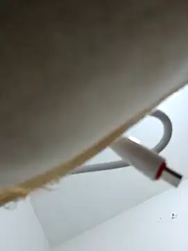 DLa3Ni online show from September 25, 2025, 1:50 pm