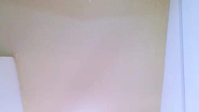 Snapshot of meghan_nill chatting on June 15, 2026, 3:18 am meghan nill online show from June 15, 2026, 3:18 am