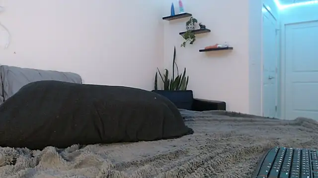 fallongrayxo online show from March 8, 2025, 11:28 pm